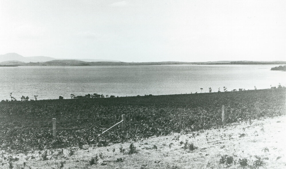 View from Stoney Range to Berkeley and Port Kembla 1928
