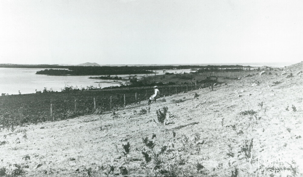 View from Stoney Range to Bevans Island 1928