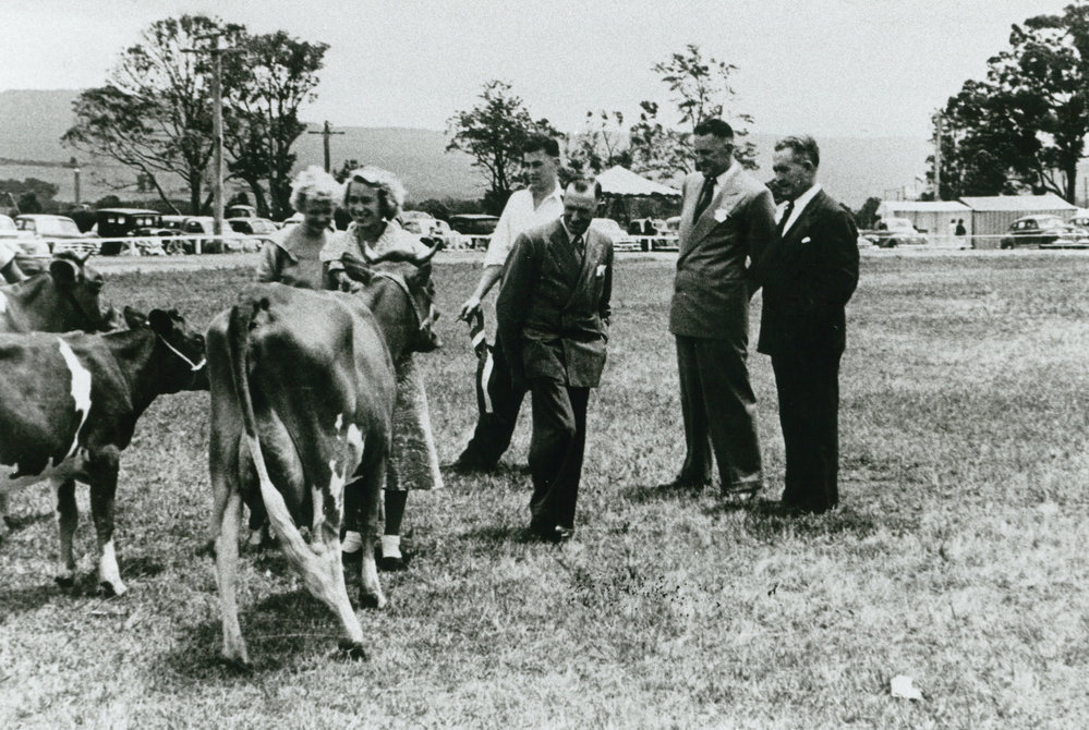 Junior Farmer's judging at Albion Park Show 1954