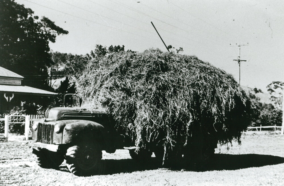 Six wheel drive Ford Marmon Herrington truck with a load of lucerne hay