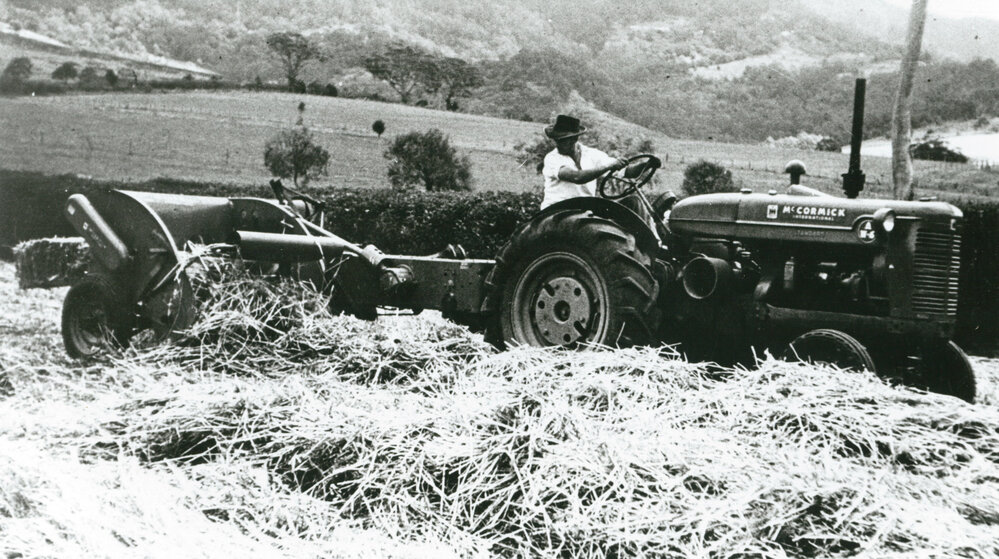 Cam Craig bailing oaten hay at Tongarra about 1956