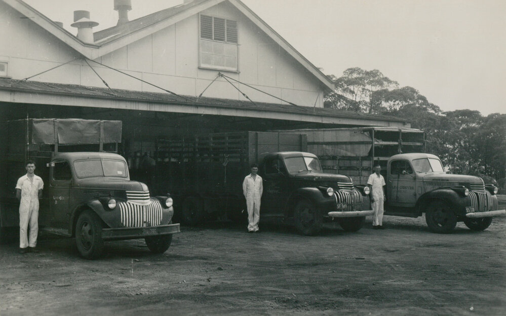 Leo O&rsquo;Dwyers transport trucks at the Illawarra Cooperative Central Dairy factory