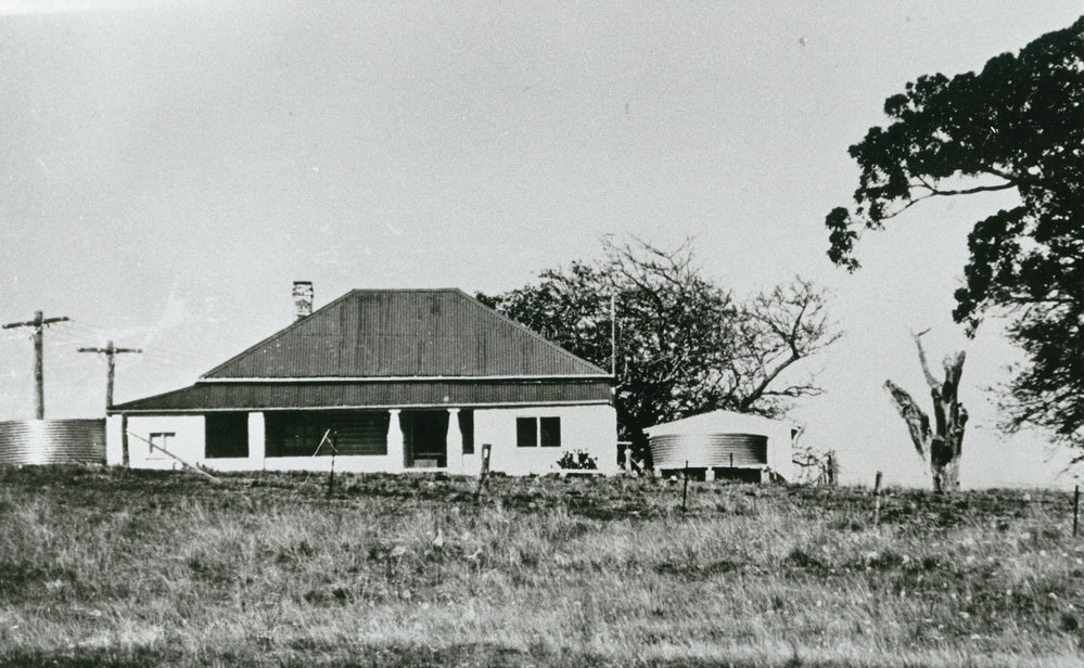 'Rosetta Hill' about 1978