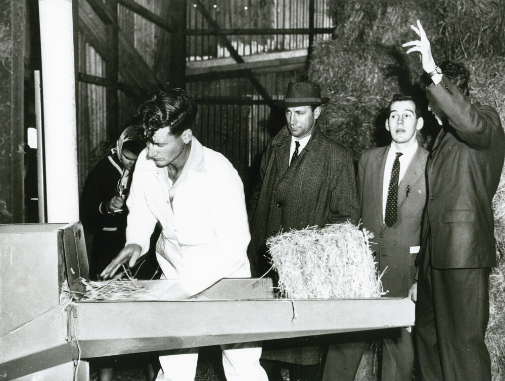 Don Grey feeding the chaff cutter