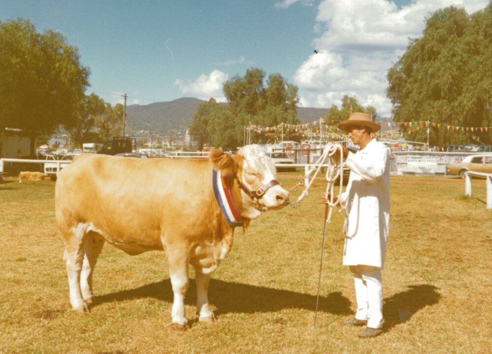 Des Stubbs with a Simmental heifer at Tamworth Show