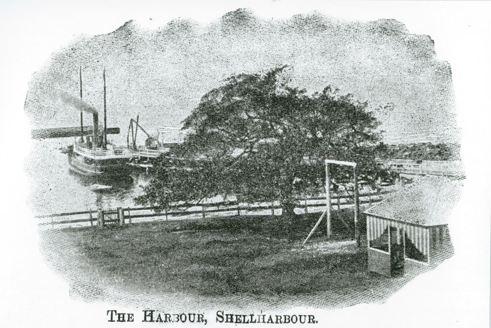 The Harbour, Shellharbour