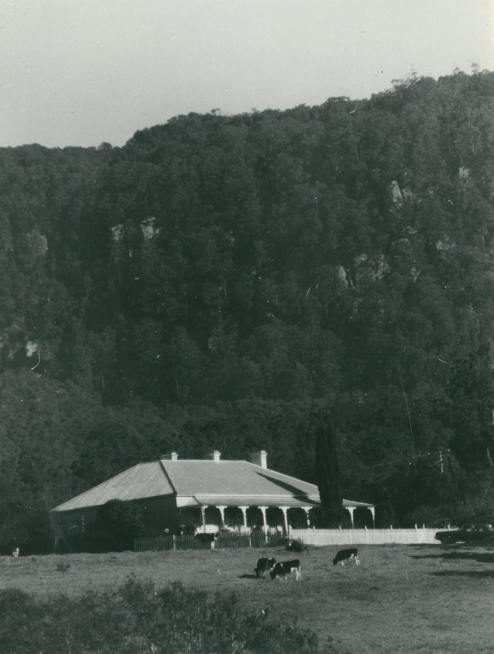 'Toongla', Tullimbar