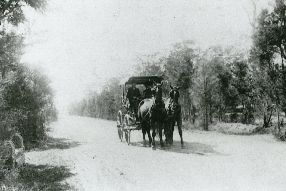 Gabriel Timbs' coach after picking up passengers from Albion Park station