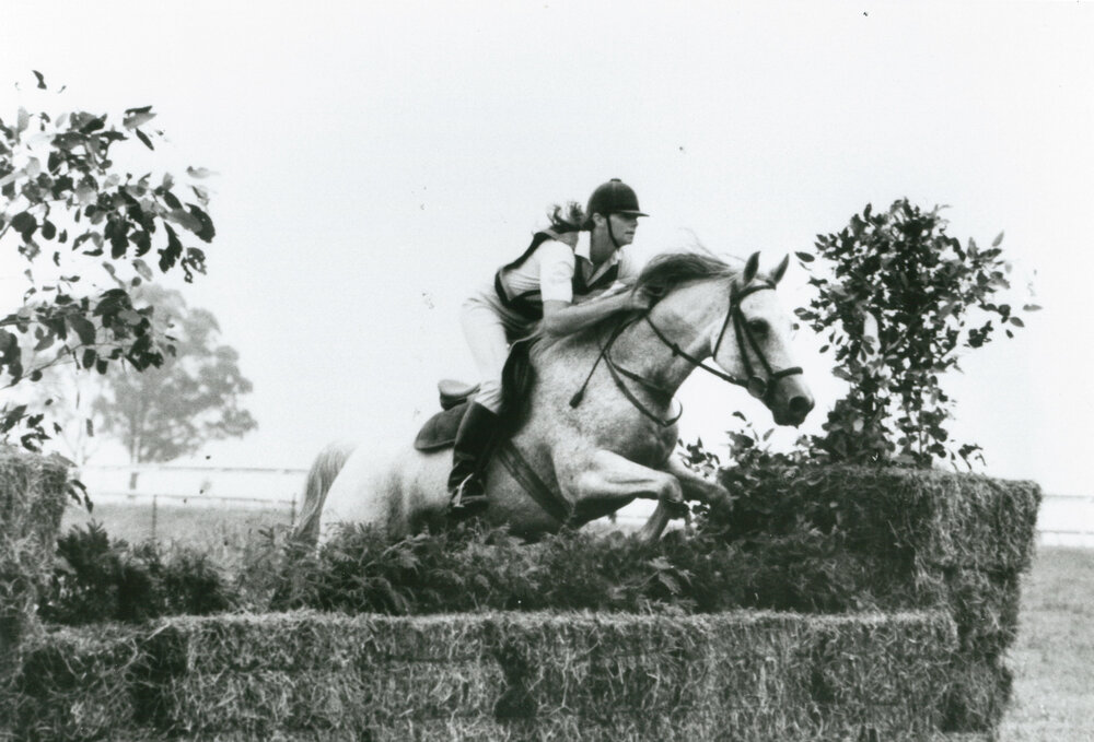 Yvonne Downes jumping 'Ennovyar Samaritan' at Hawkesbury ODE