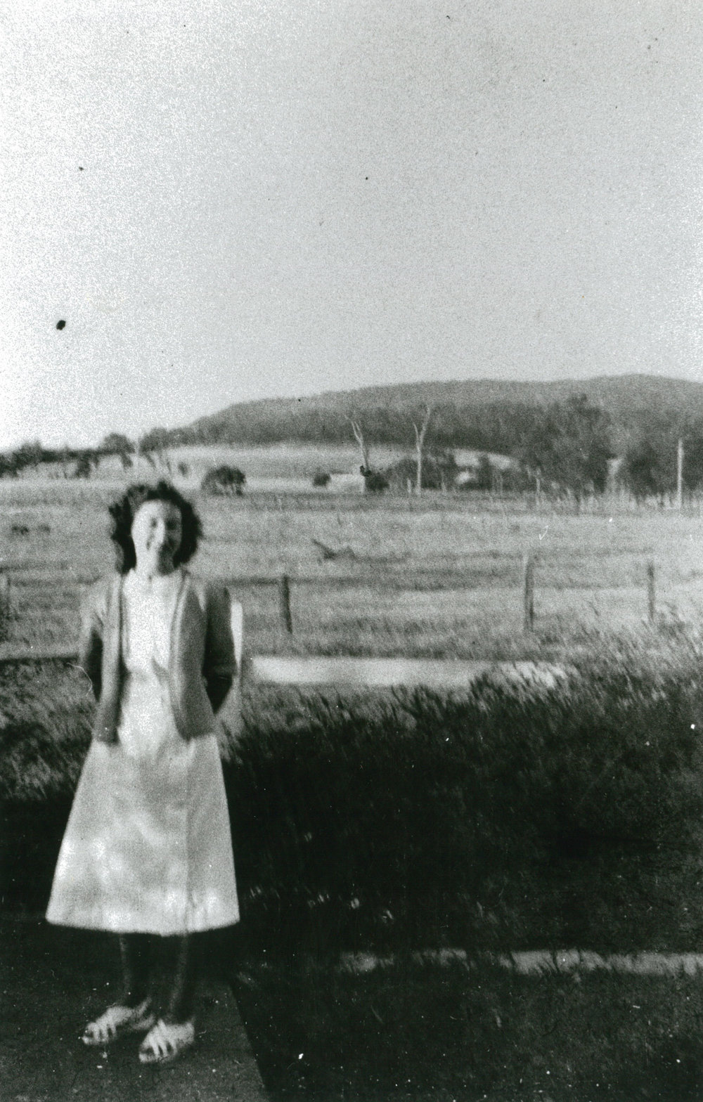 Nancy Grey