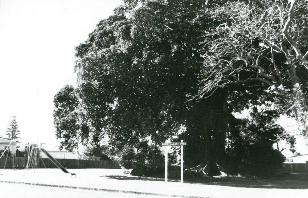 Russell East Park, Shellharbour