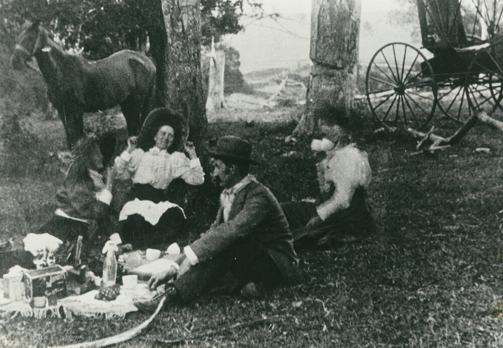Picnic at Macquarie Pass