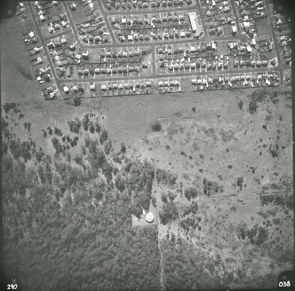 Blackbutt Reserve to Barrack Heights