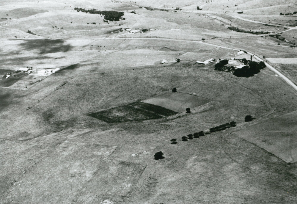 Tongarra Road to Shellharbour 1956
