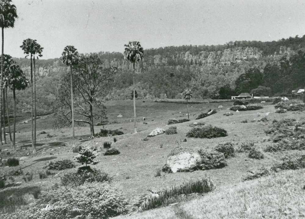 'Clover Hill' farm, Macquarie Pass