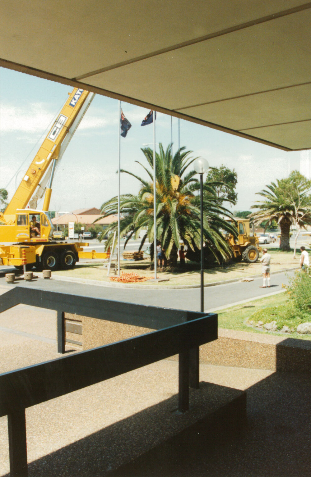 Planting the palm trees outside the old Council Chambers at Warilla