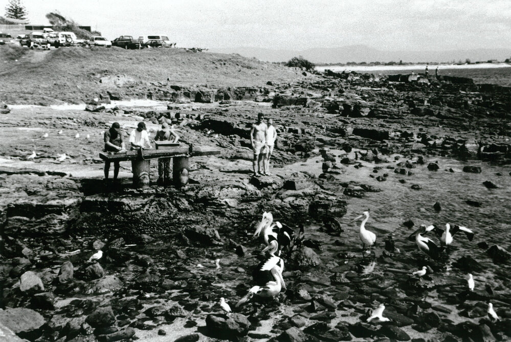 Cleaning the fish catch at Shellharbour