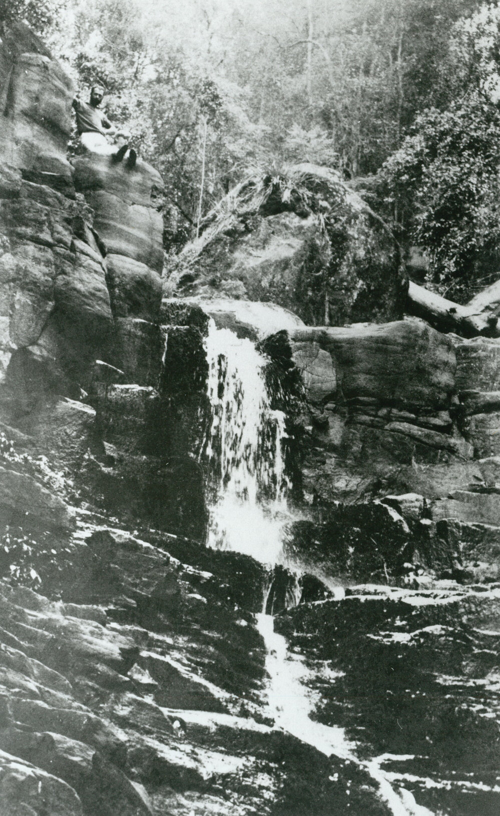 Clover Hill Falls, Macquarie Pass National Park