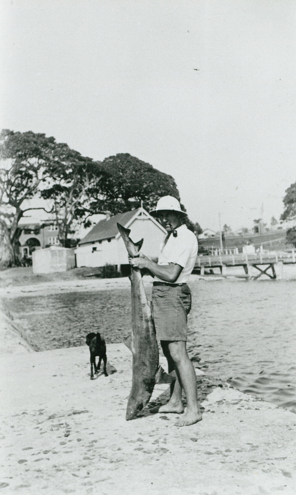 Ray Hockey holding a shark caught off Shellharbour breakwater