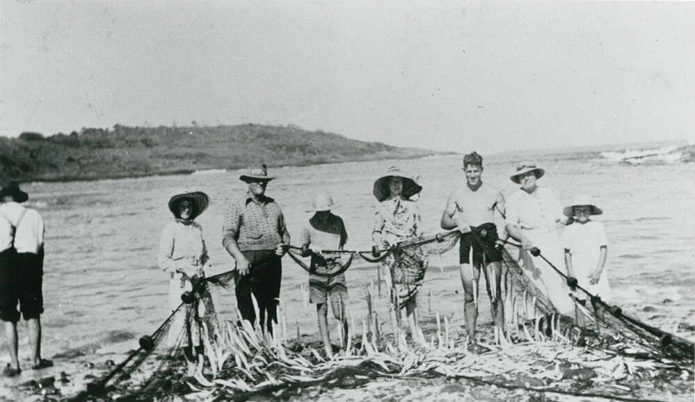 Fish catch at Maloney&rsquo;s Bay, Bass Point