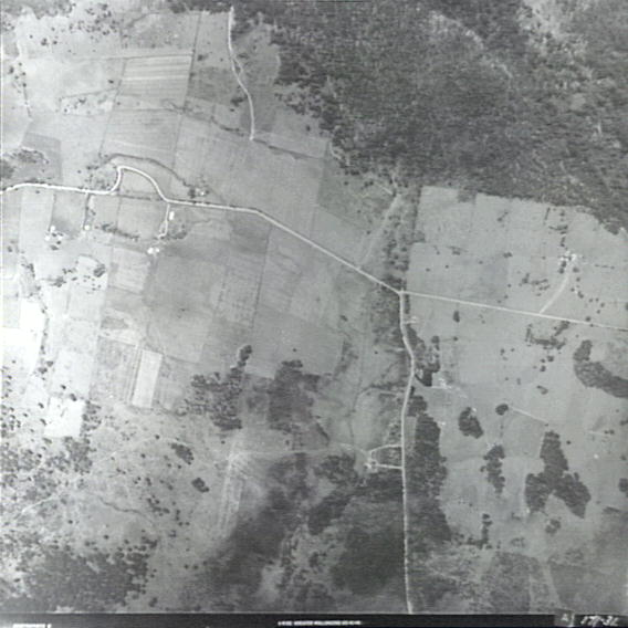 Above the Illawarra Escarpment at Robertson