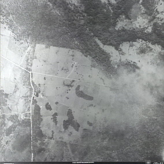 Above the Illawarra Escarpment at Robertson