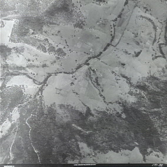 Yellow Rock Creek, Albion Park