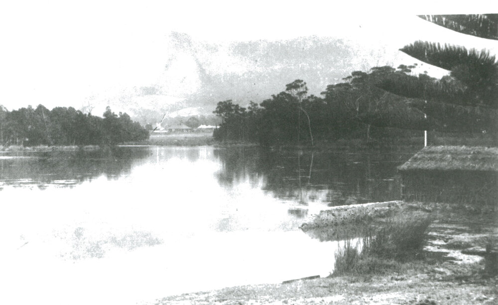 Water scene