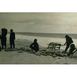 Hazelton Family Fish Catch at Shellharbour