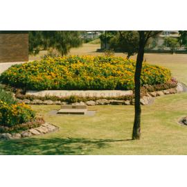 Flower Garden Outside Shellharbour Council Chambers, Warilla