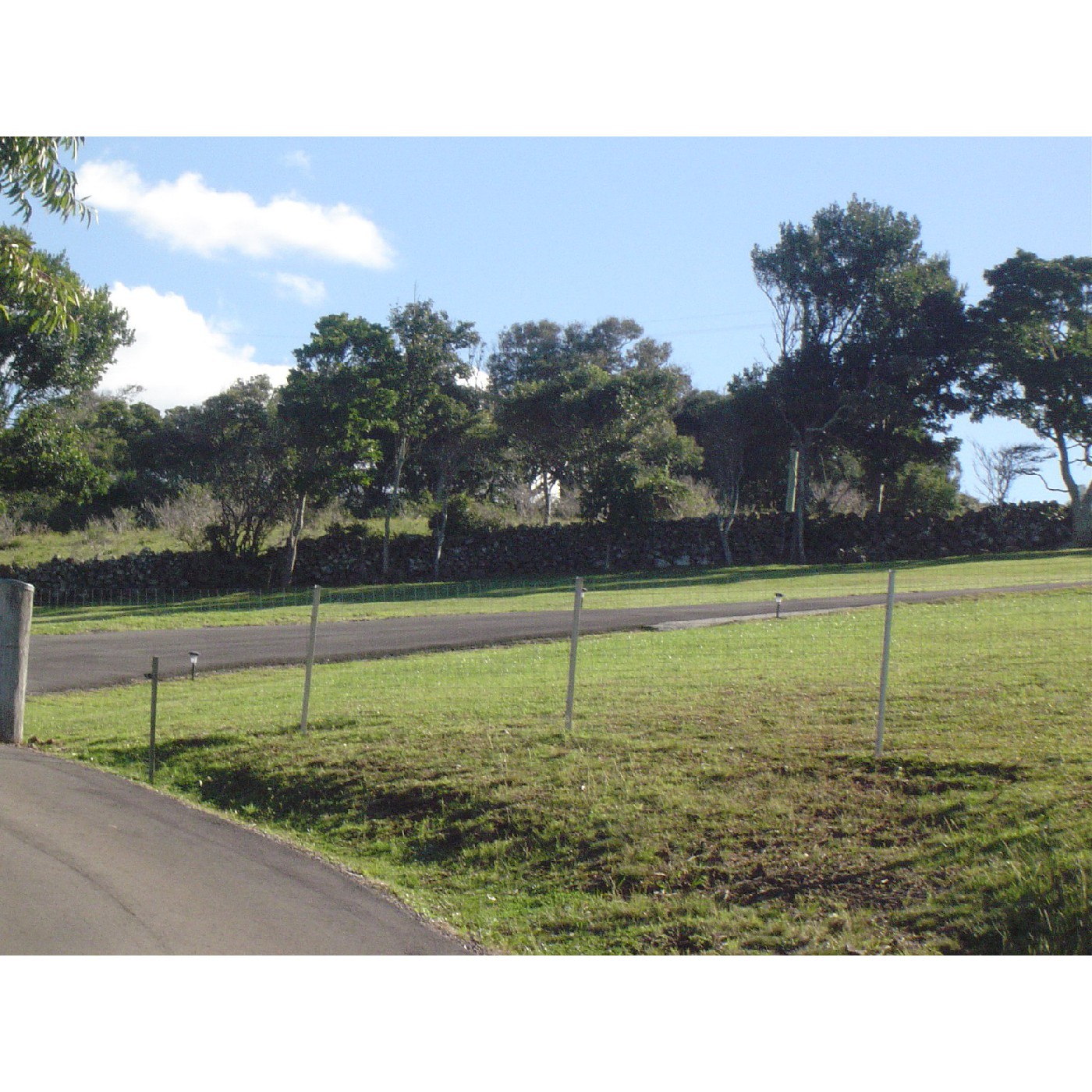 Allawah Place Dry Stone Wall and Fig Trees