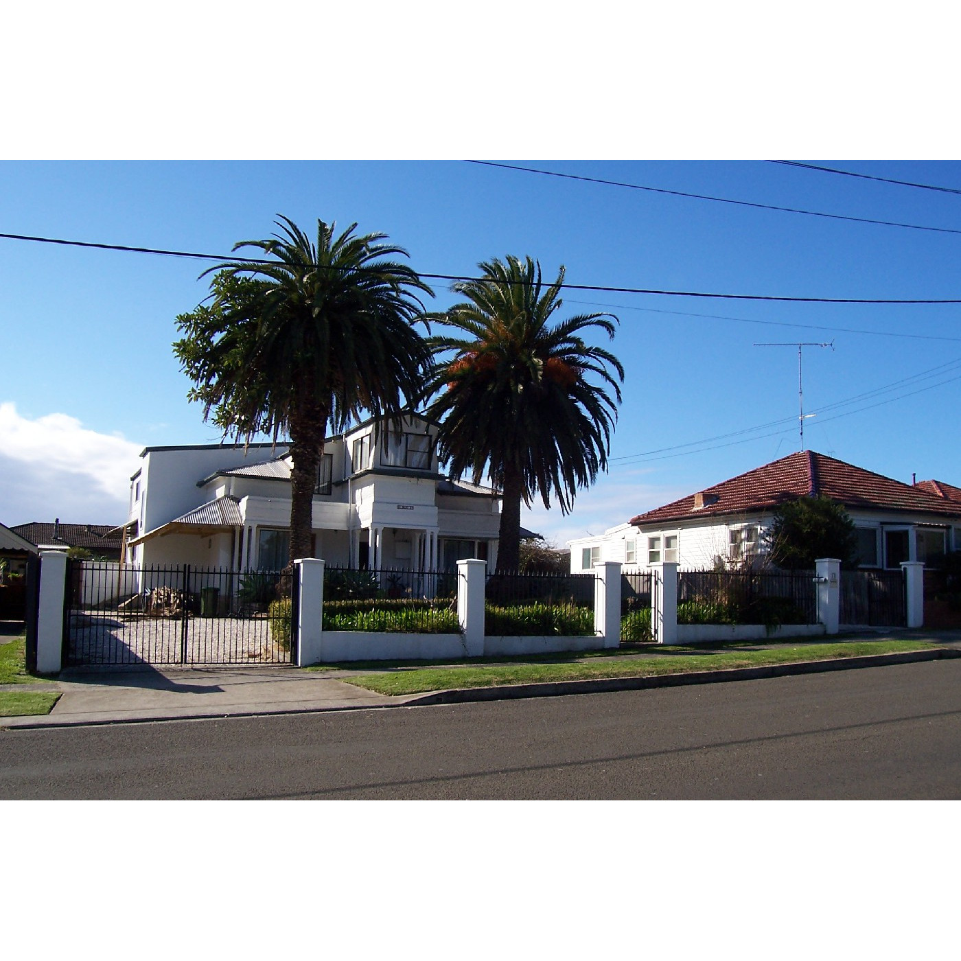 East House and Palms