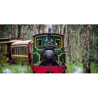 Illawarra Light Railway Steam Museum