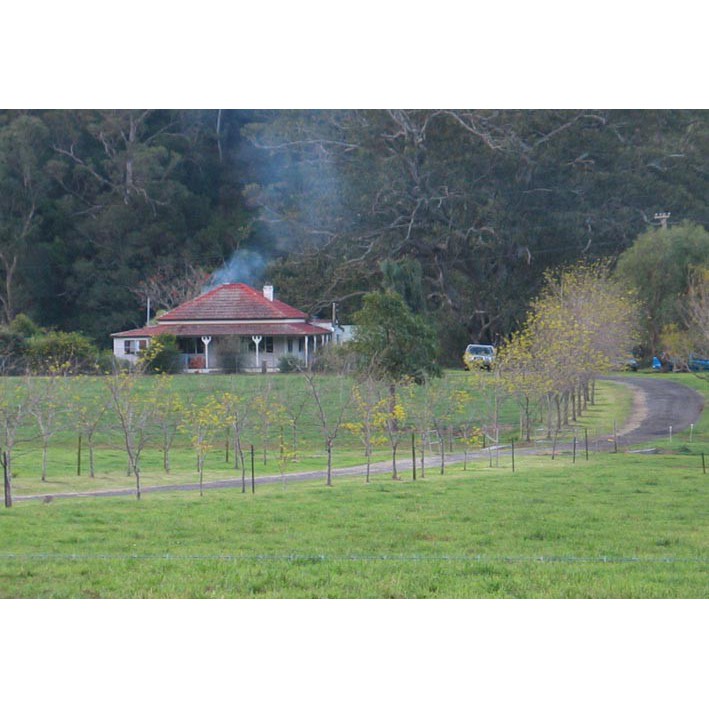 Lothlorien Farmhouse