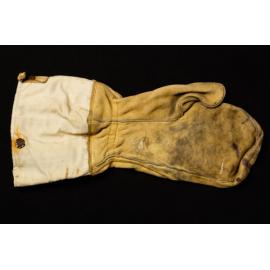 Mitten Glove - Antarctic Expedition