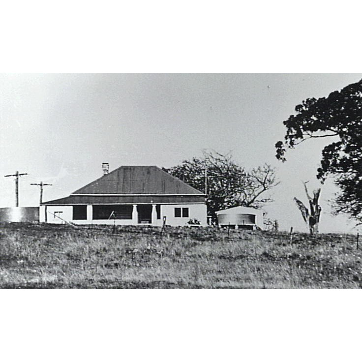 Rosetta Hill