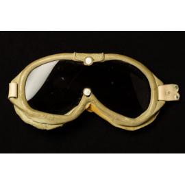 Goggles- Antarctic Expedition