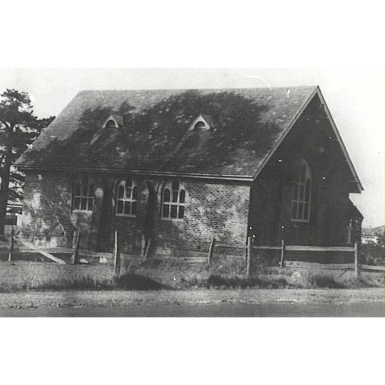St Andrew's Presbyterian Church and Tree