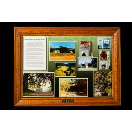 'Wairanga' and Buggy Shed Collage