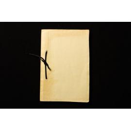 Illawarra Planning Ordinance Scheme