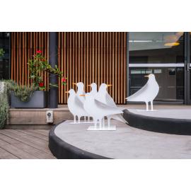 Who's got the Chippies? 