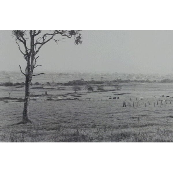 Terrys Meadows Estate