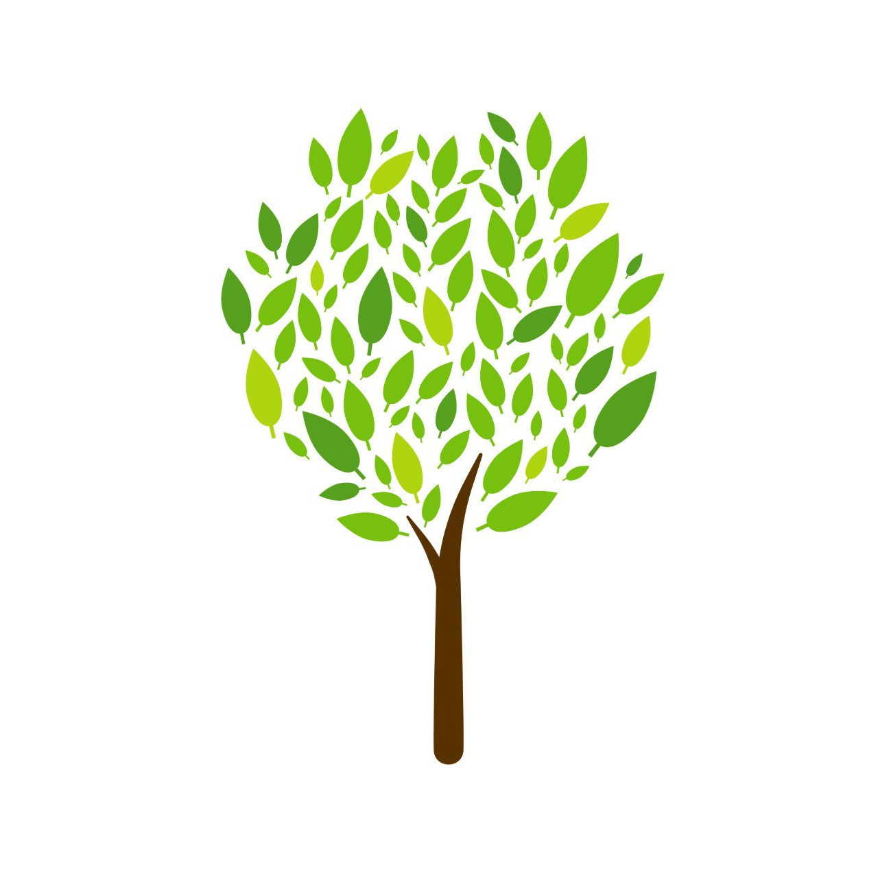 Brindabella Wetlands