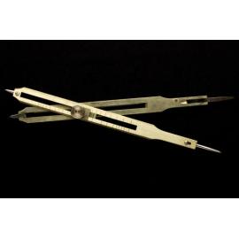 Proportional Divider