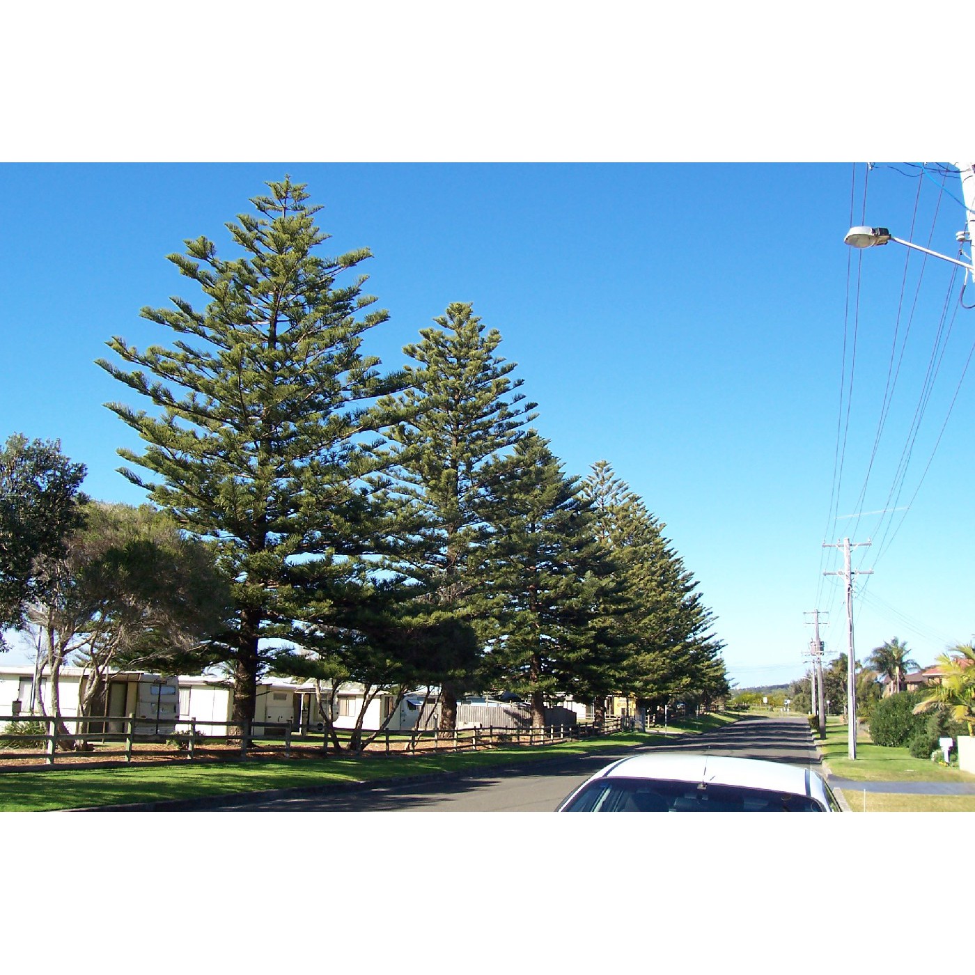Shellharbour Beachside Tourist Park