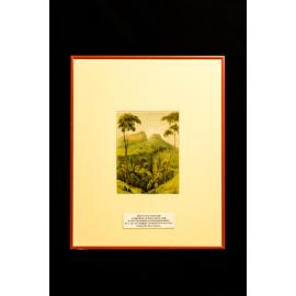 Mountain Pass Jamberoo To Bong Bong