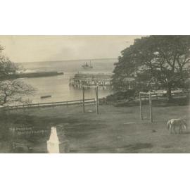 SS Patonga Approaching The Harbour