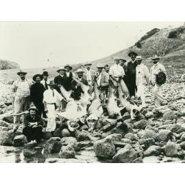 Shark Catch At Shellharbour