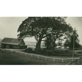 Boat Store And Figtree 