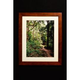 Macquarie Pass Track